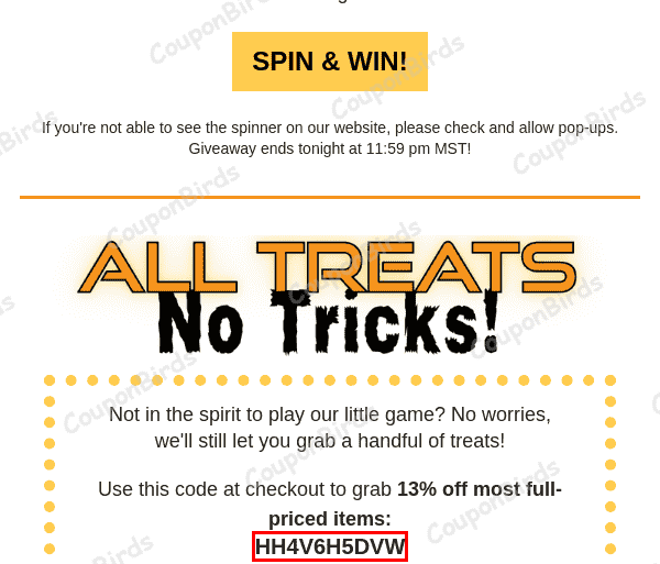 13% Thunder Mountain Bikes Promo Code Verification Screenshot