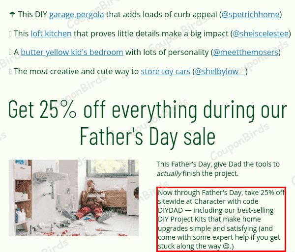 25% With Character Promo Code Verification Screenshot