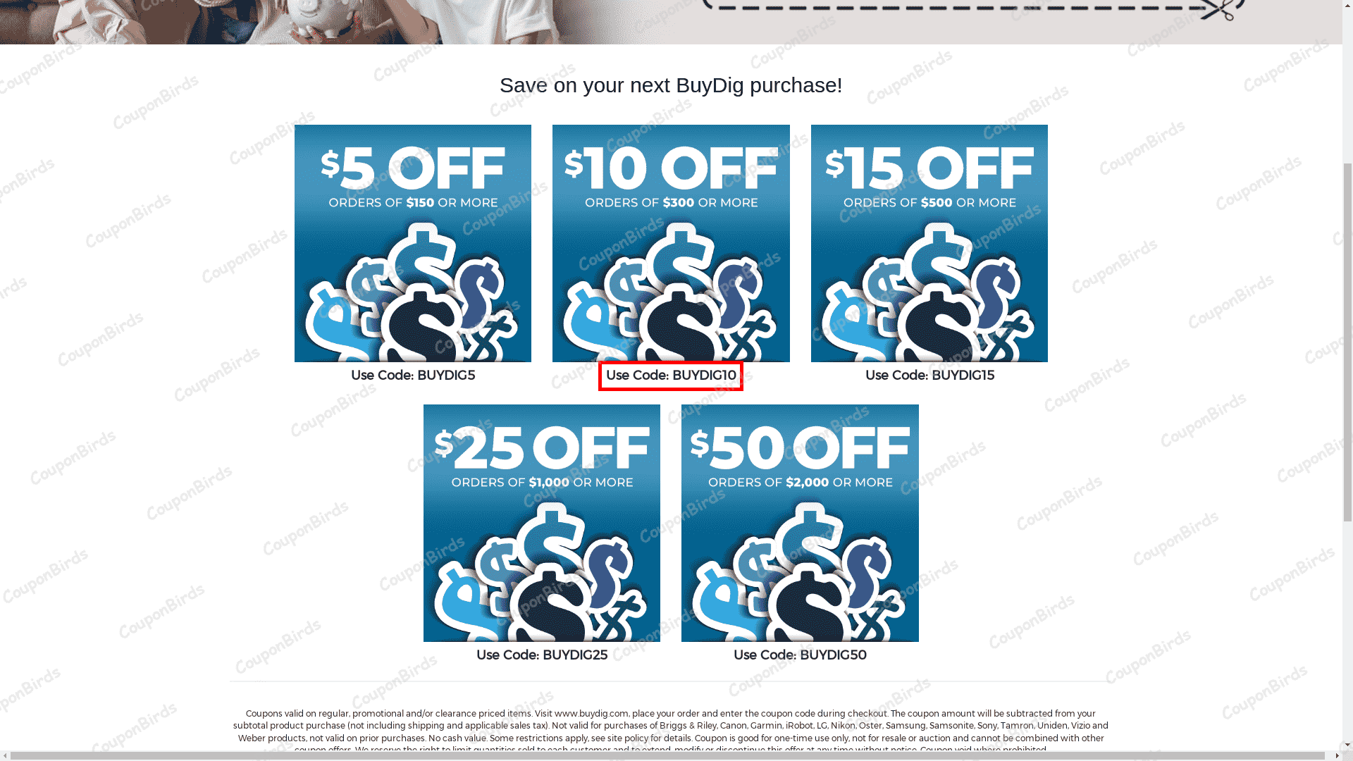 10% BuyDig Promo Code Verification Screenshot