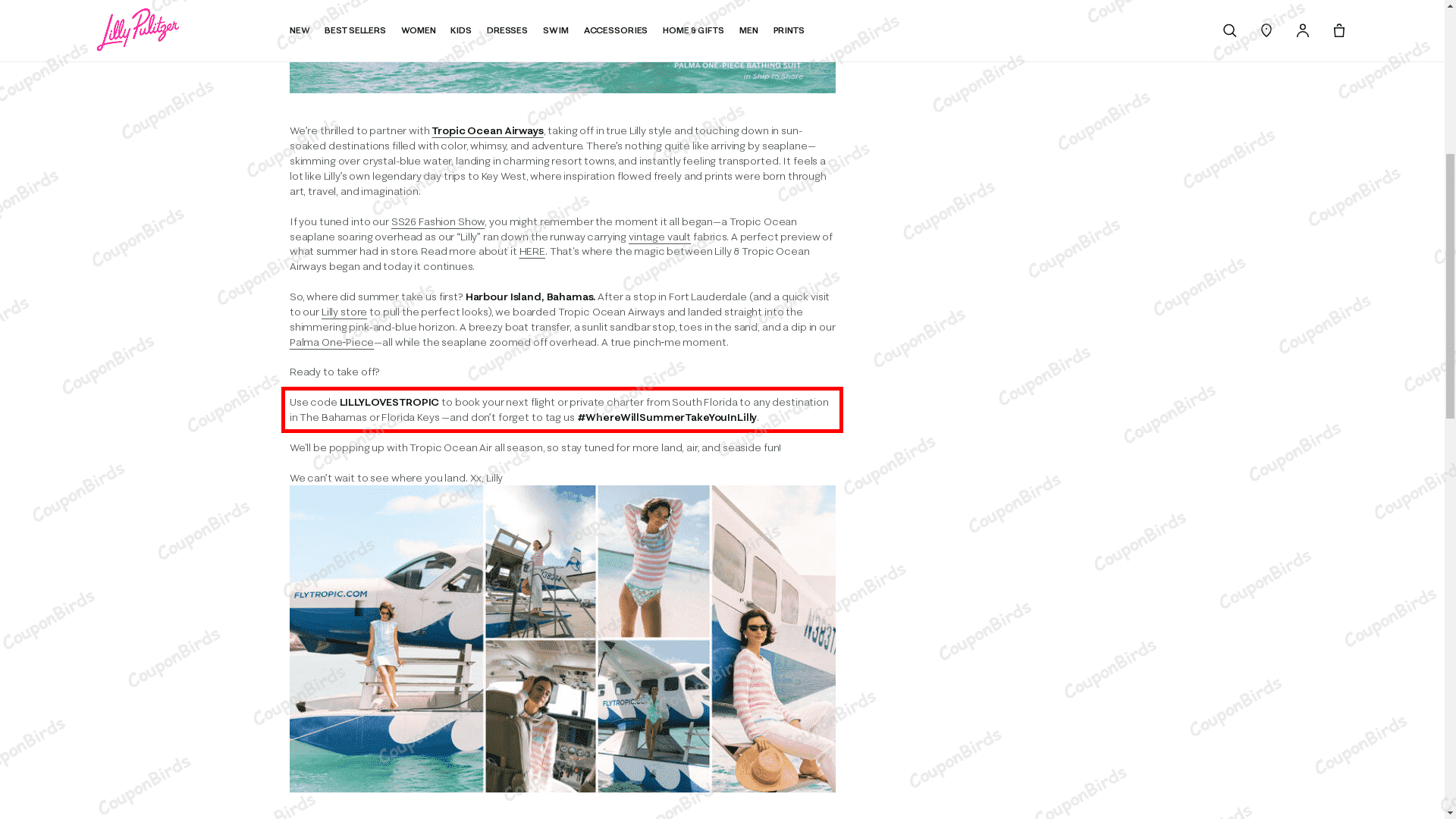20% Lilly Pulitzer Promo Code Verification Screenshot