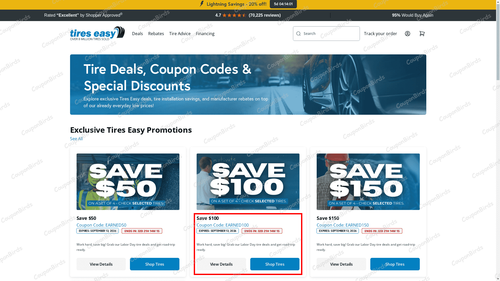 $100 Tires-Easy Promo Code Verification Screenshot