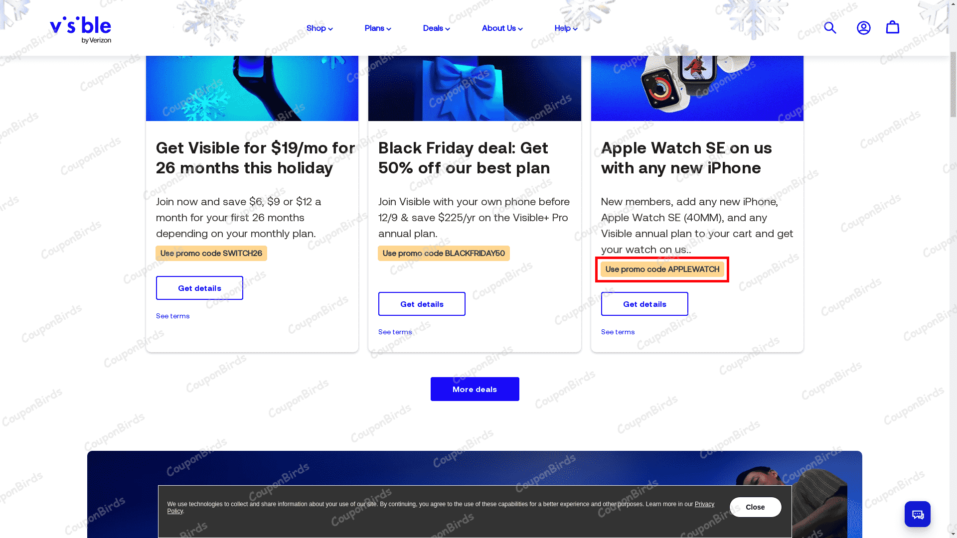 24% Visible Promo Code Verification Screenshot