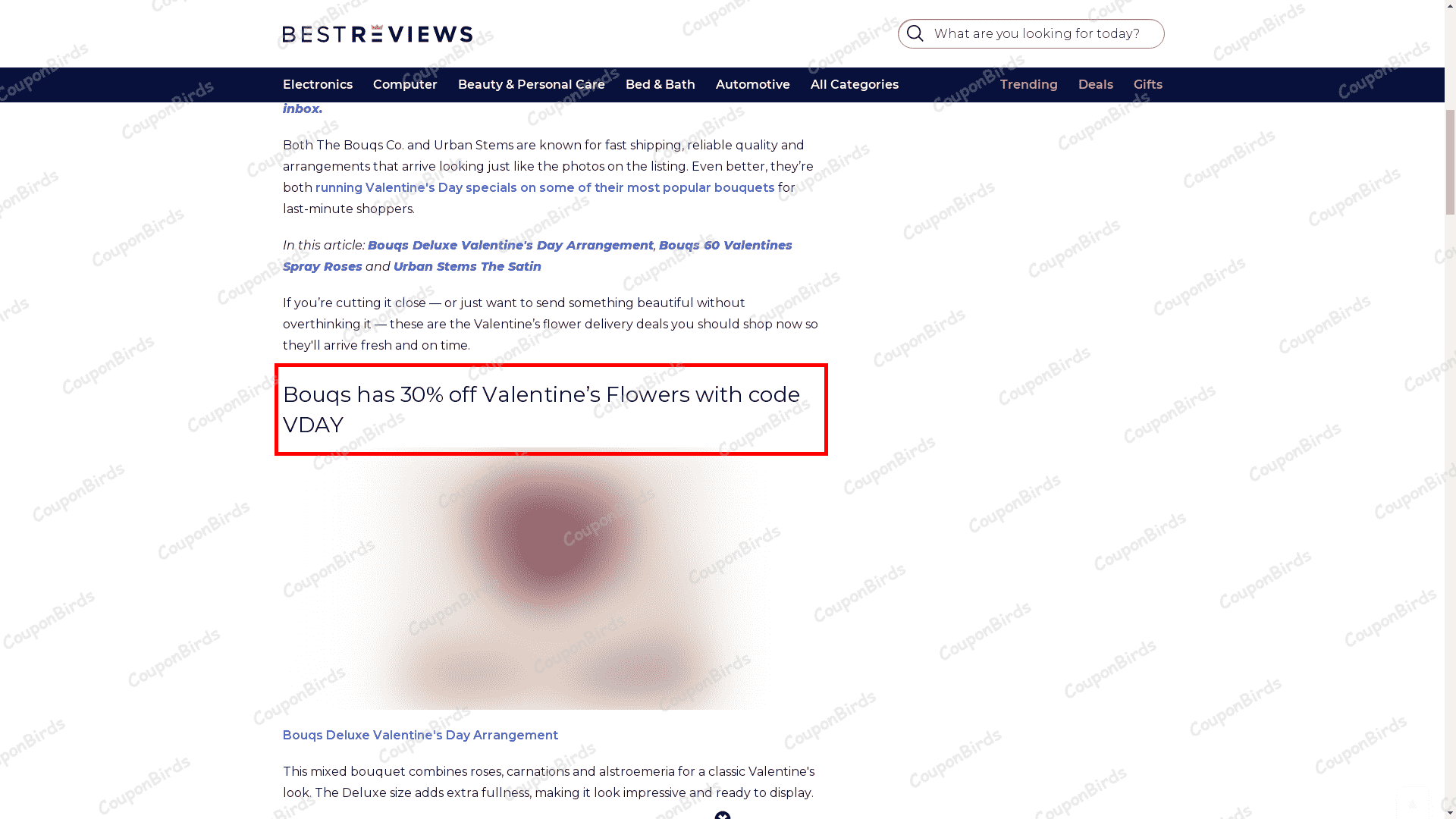 30% BestReviews Promo Code Verification Screenshot
