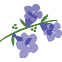 Jacaranda Living